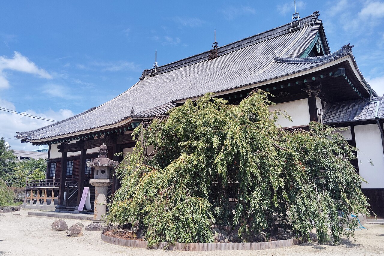 願正寺本堂の画像