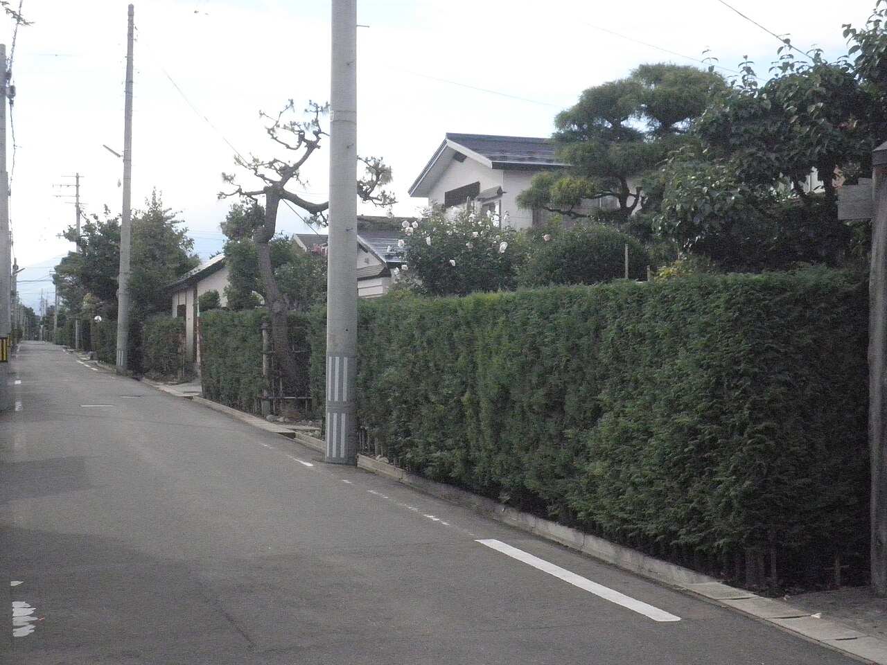 弘前市仲町の画像