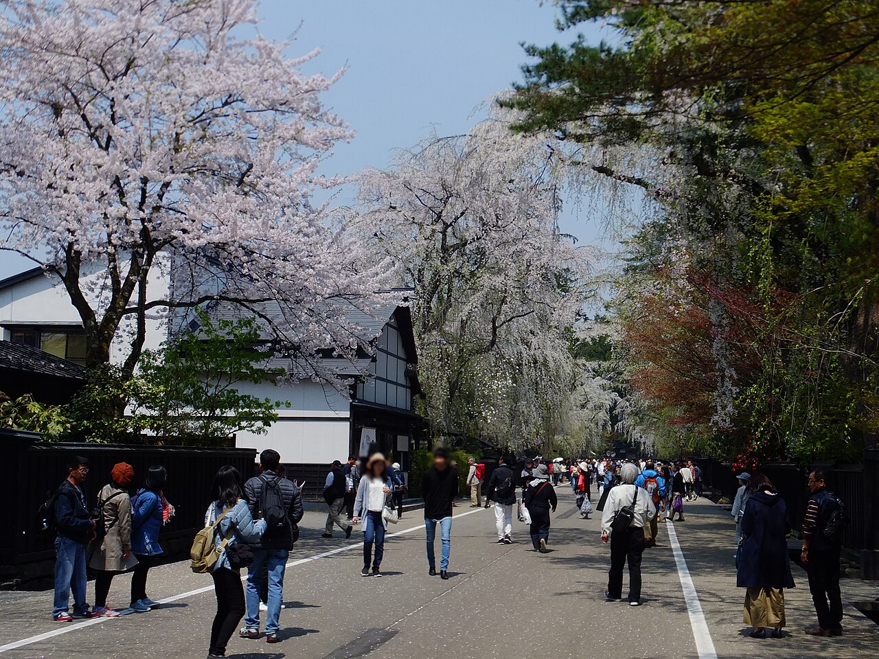 仙北市角館の画像
