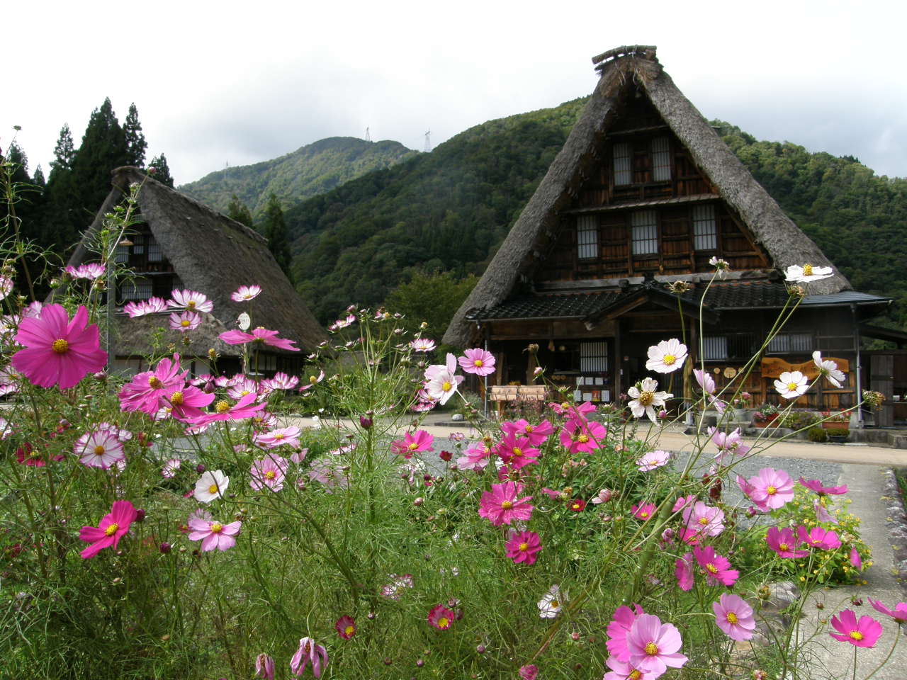 南砺市菅沼の画像