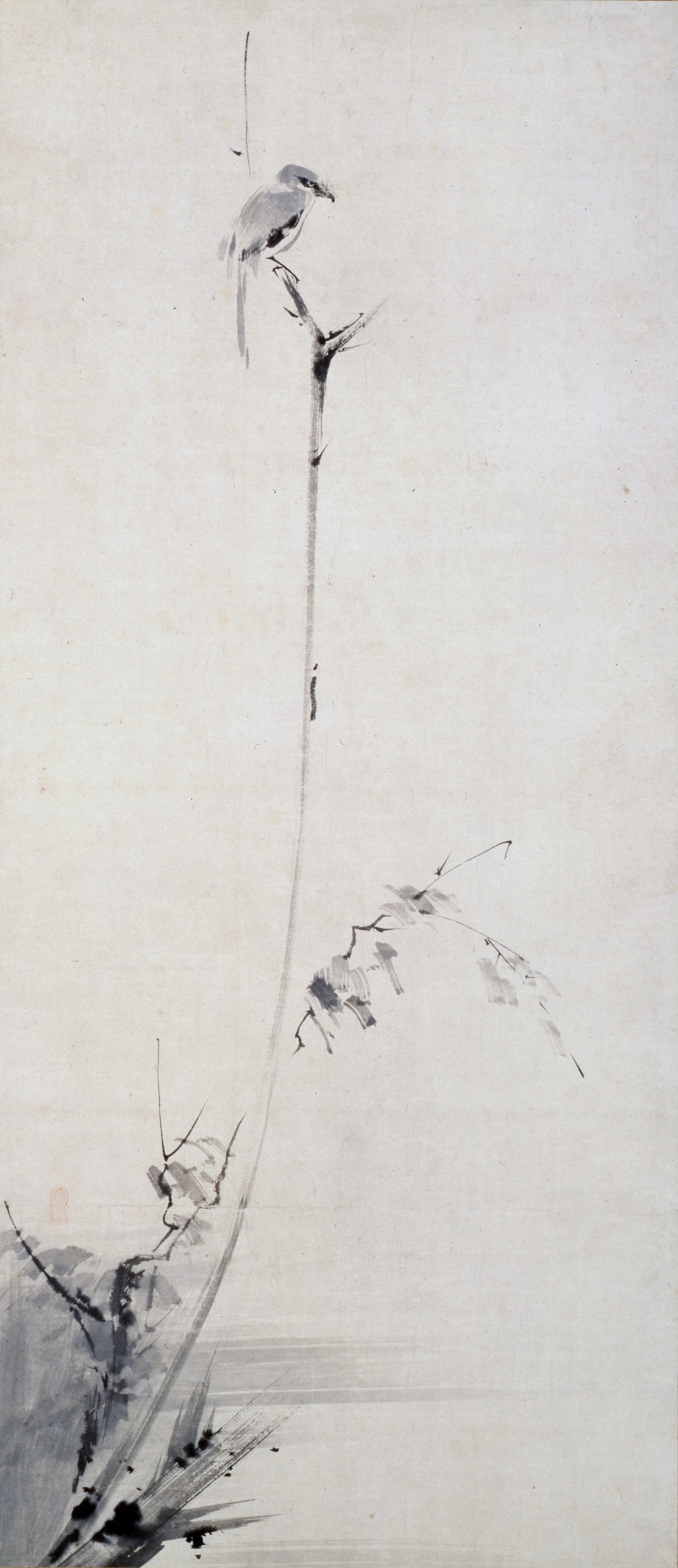 紙本墨画枯木鳴鵙図〈宮本武蔵筆／〉の画像