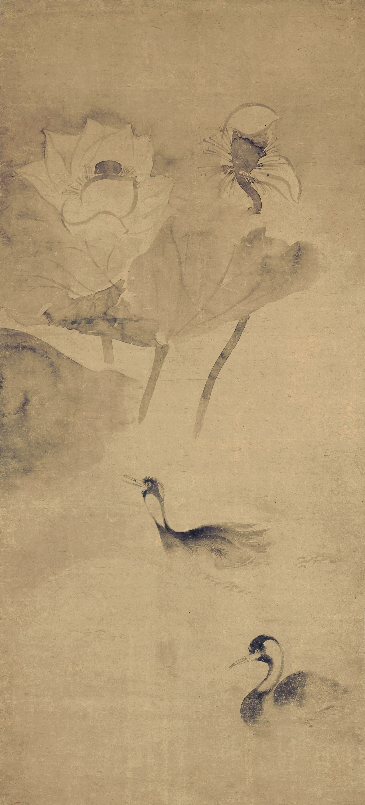 紙本墨画蓮池水禽図〈俵屋宗達筆／〉の画像