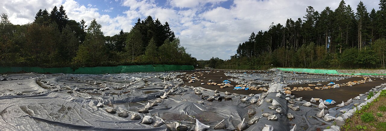鷲ノ木遺跡の画像