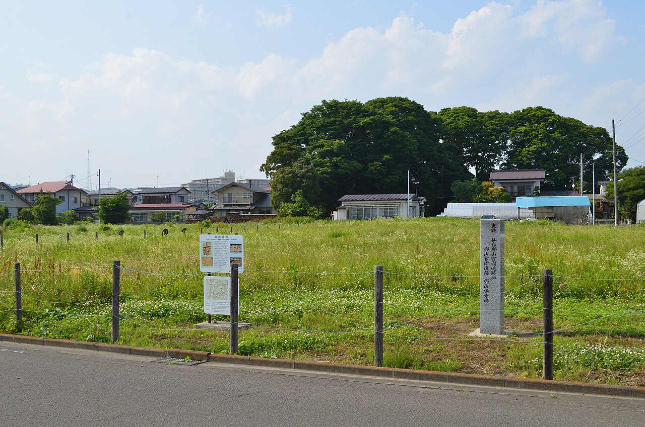 仙台郡山官衙遺跡群
　郡山官衙遺跡
　郡山廃寺跡の画像
