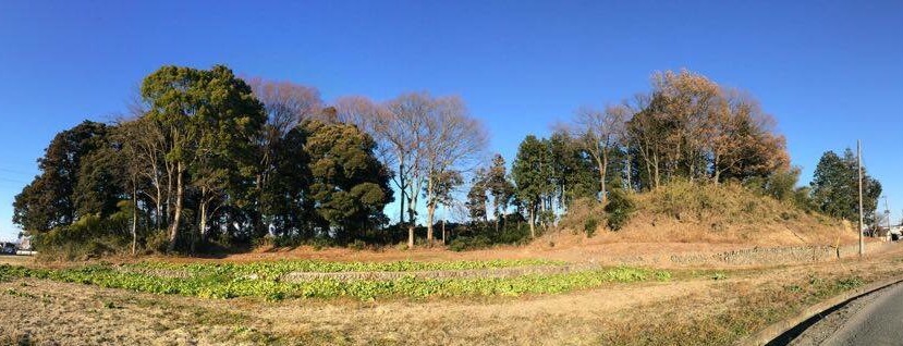 藤本観音山古墳の画像