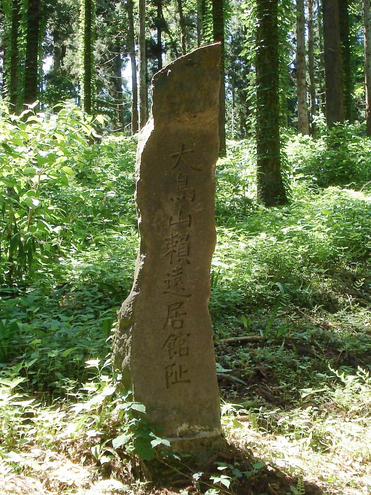大鳥井山遺跡附陣館遺跡の画像