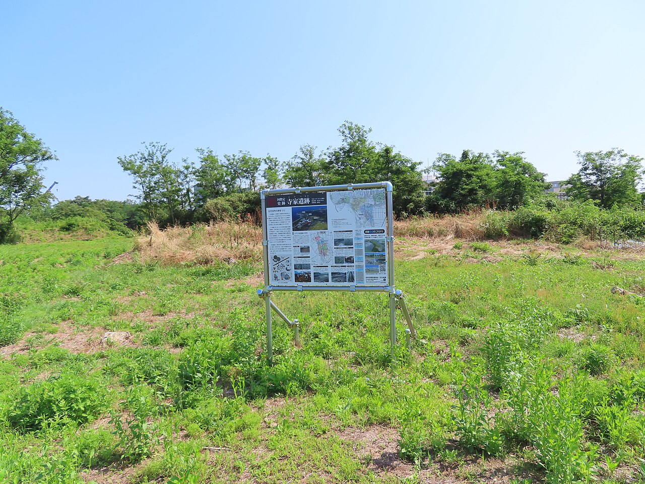 寺家遺跡の画像