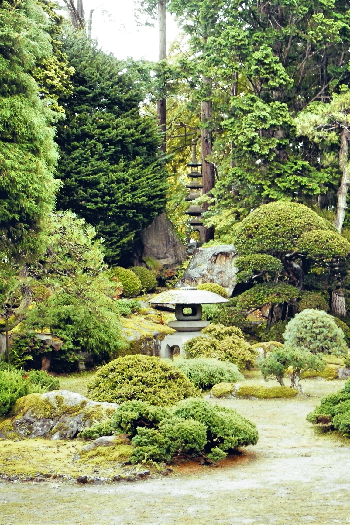 瑞楽園の画像