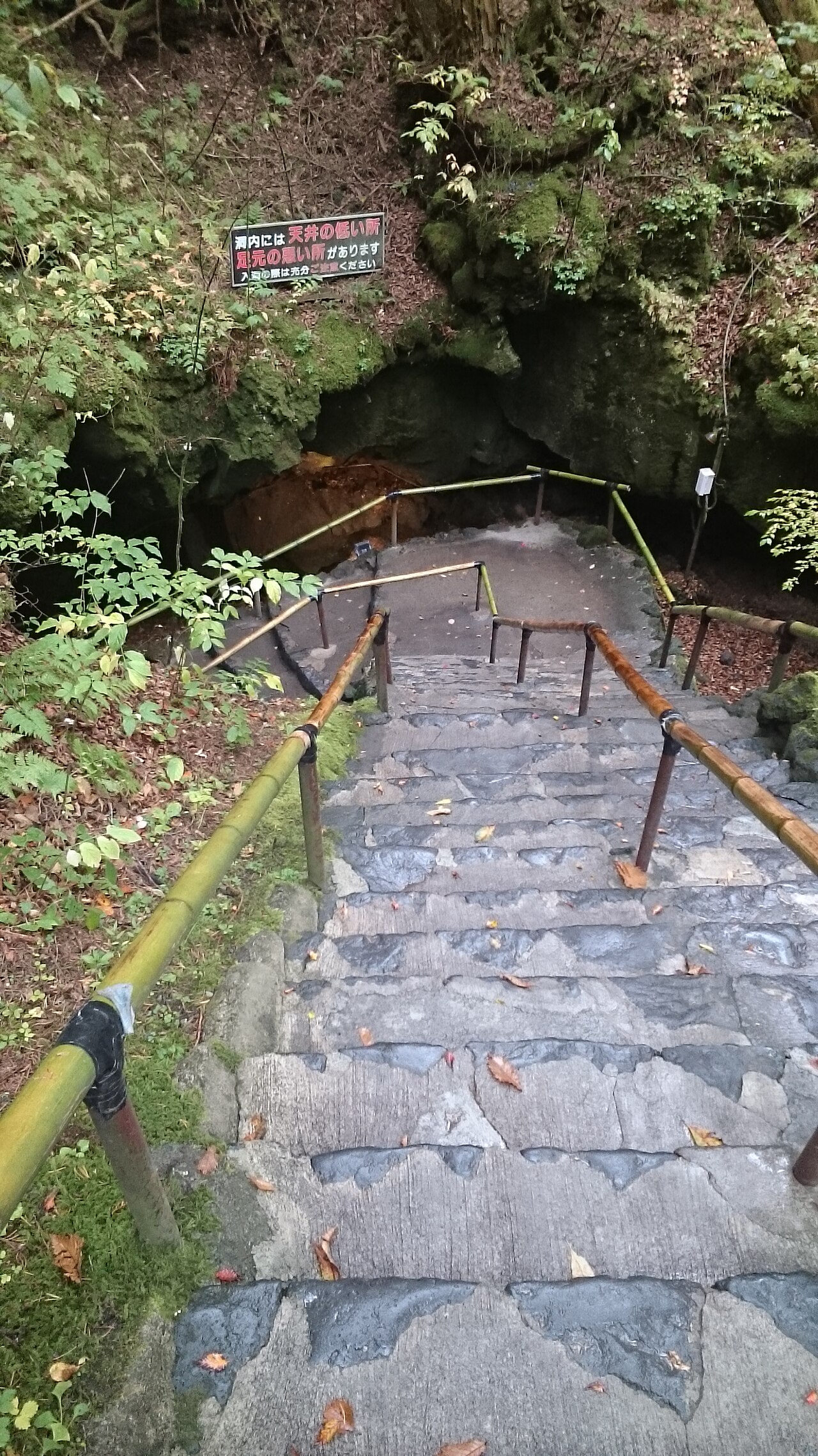 富岳風穴の画像