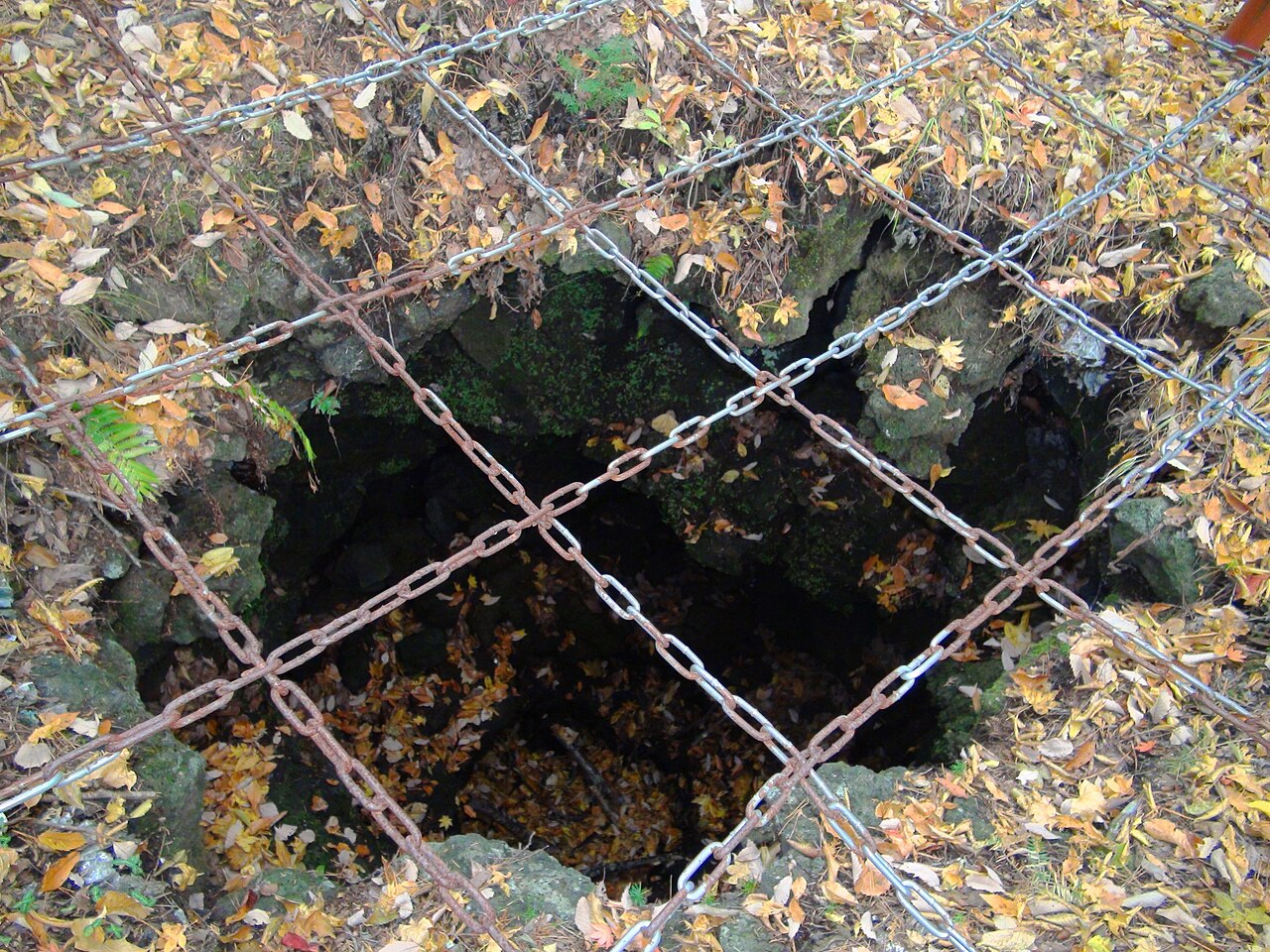 鳴沢熔岩樹型の画像