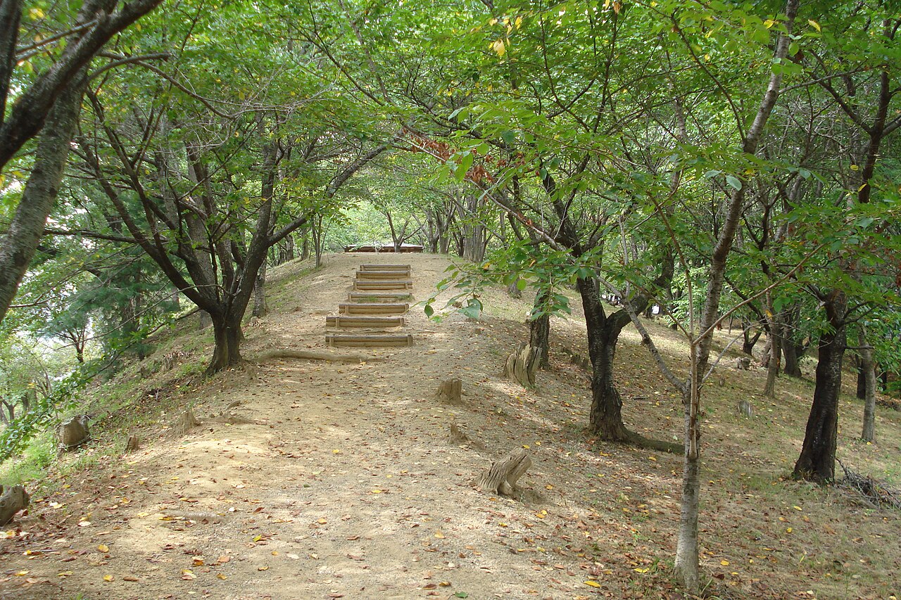弘法山古墳の画像