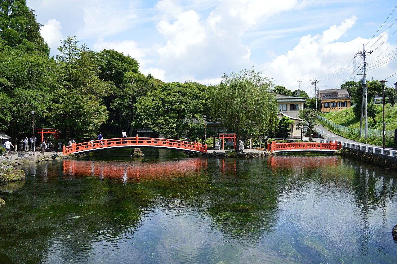 湧玉池の画像