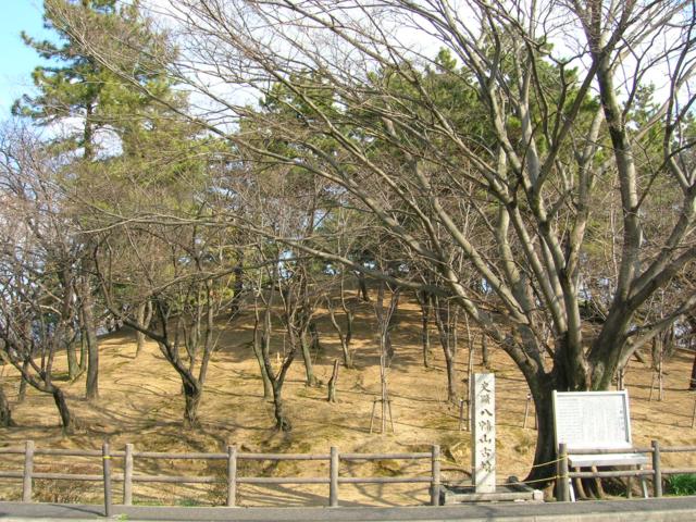 八幡山古墳の画像