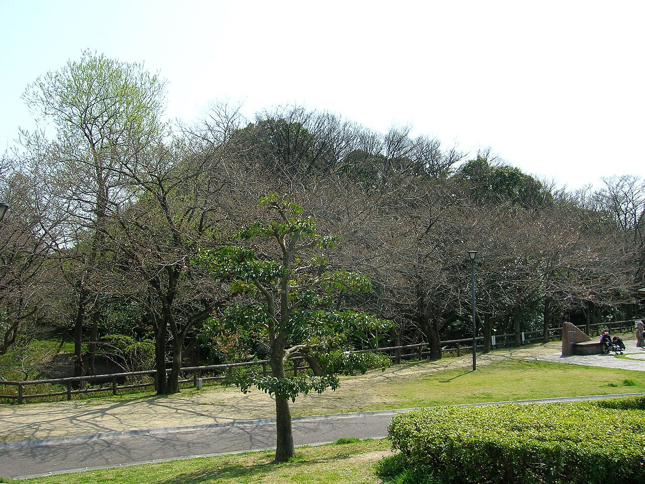 二子山古墳の画像