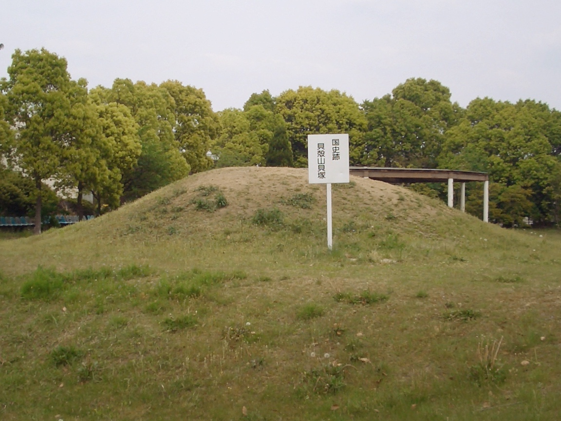 貝殻山貝塚の画像