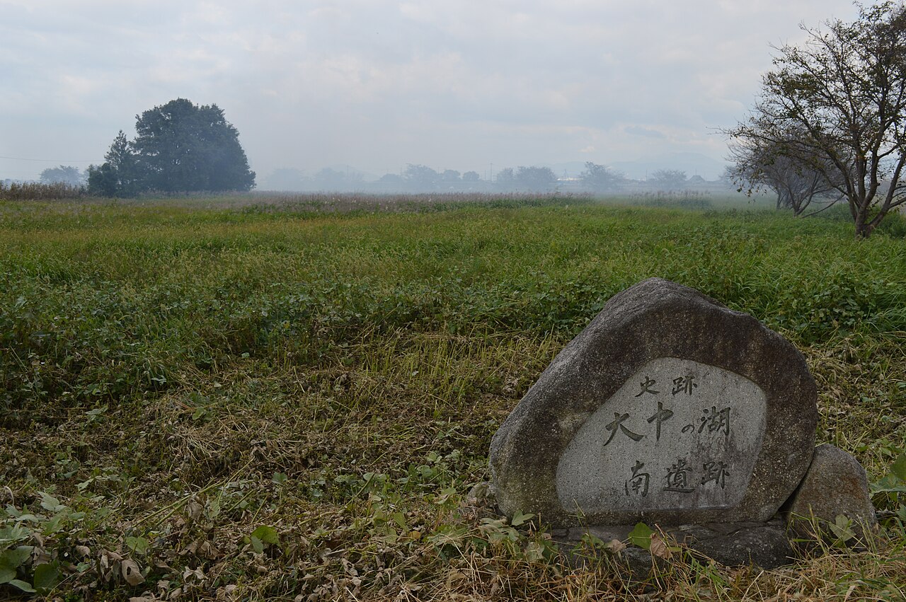 大中の湖南遺跡の画像