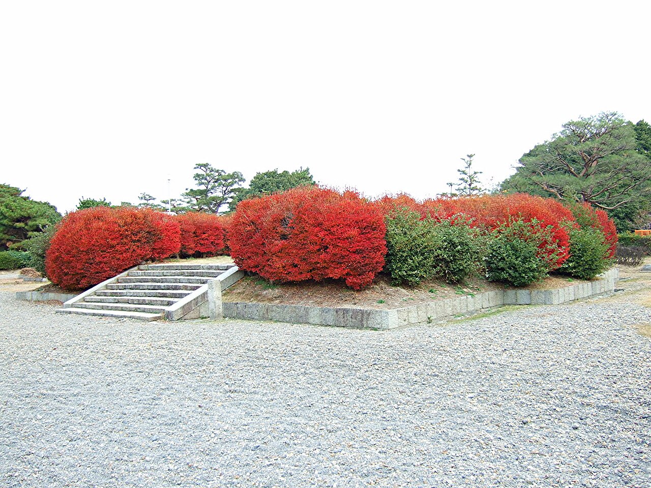 百済寺跡の画像