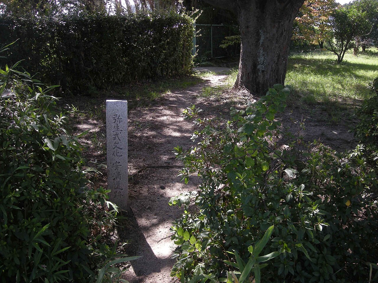 安満遺跡の画像