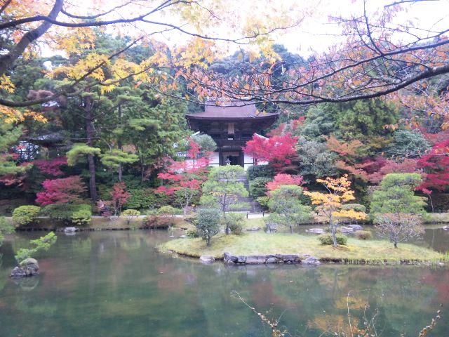 円成寺庭園の画像