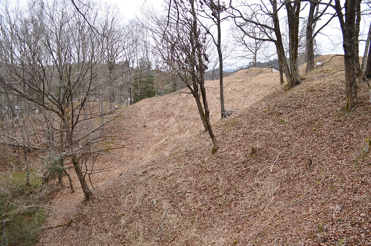 見田・大沢古墳群の画像