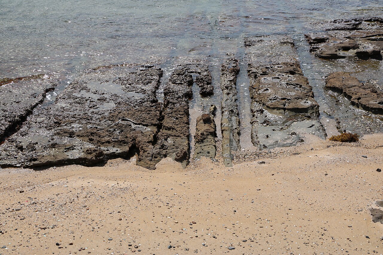 鳥巣半島の泥岩岩脈の画像