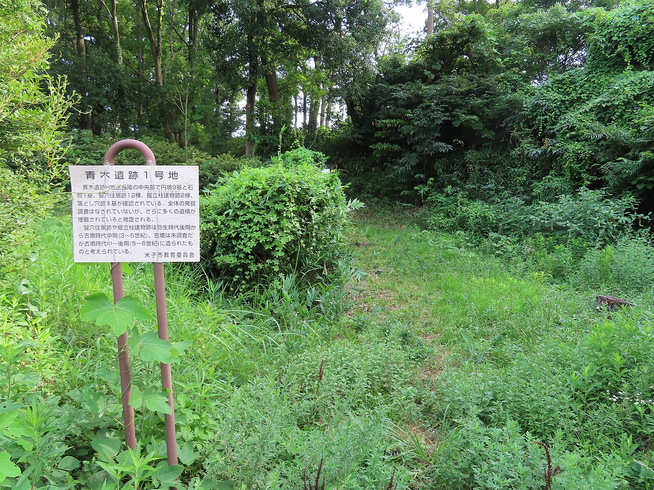 青木遺跡の画像