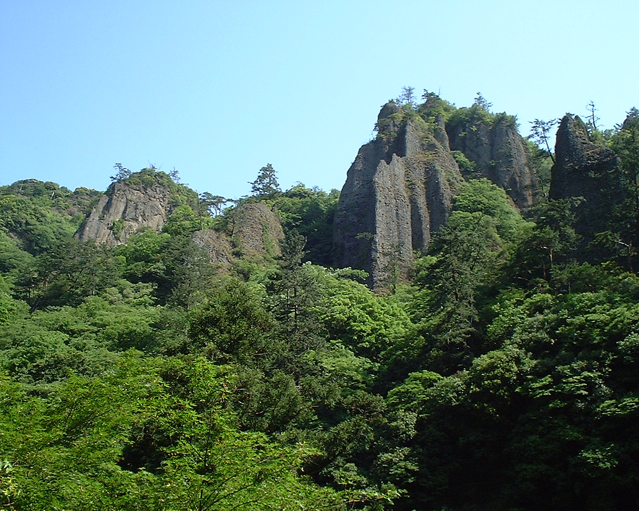 立久恵の画像