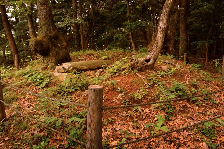 徳連場古墳の画像
