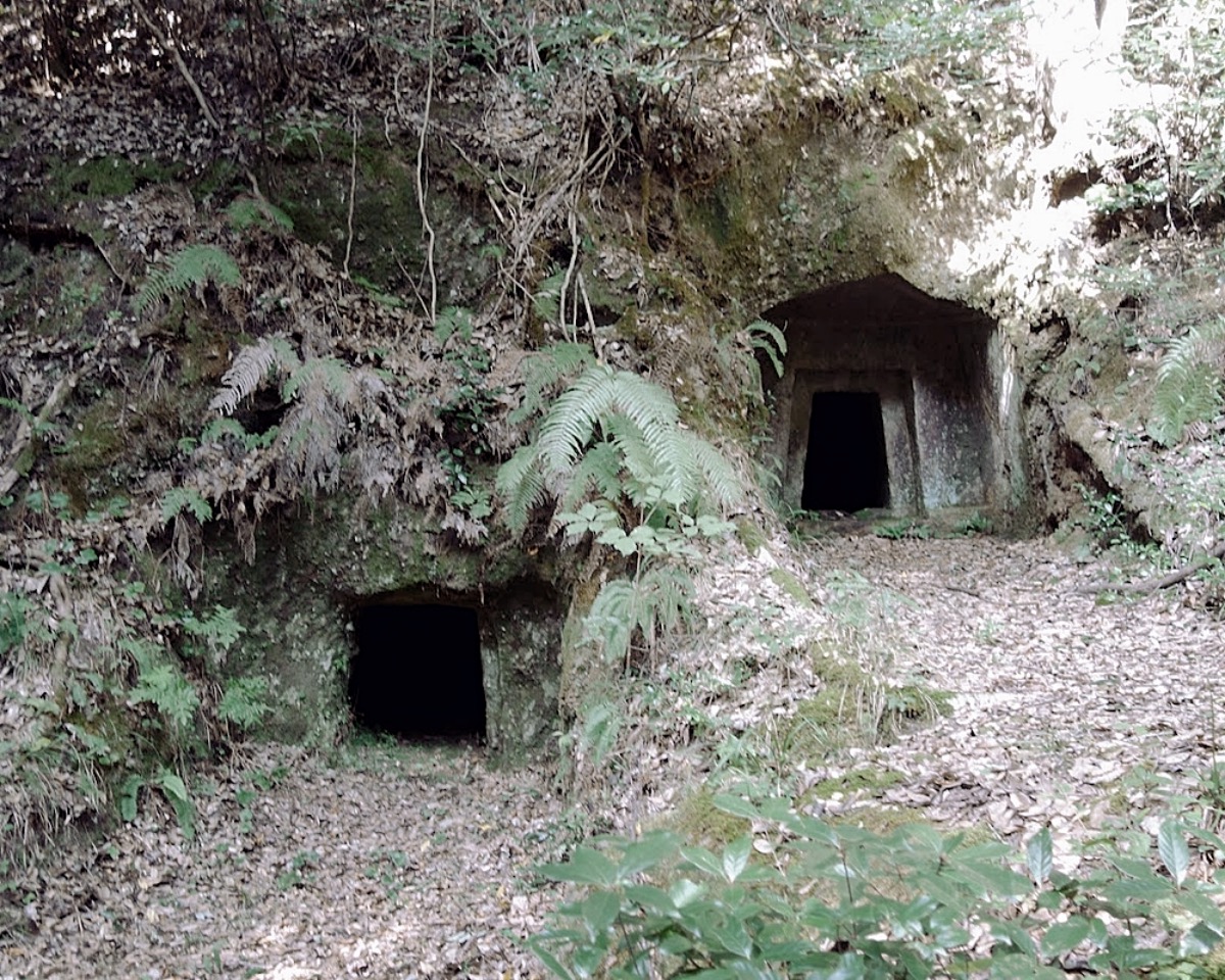 安部谷古墳の画像