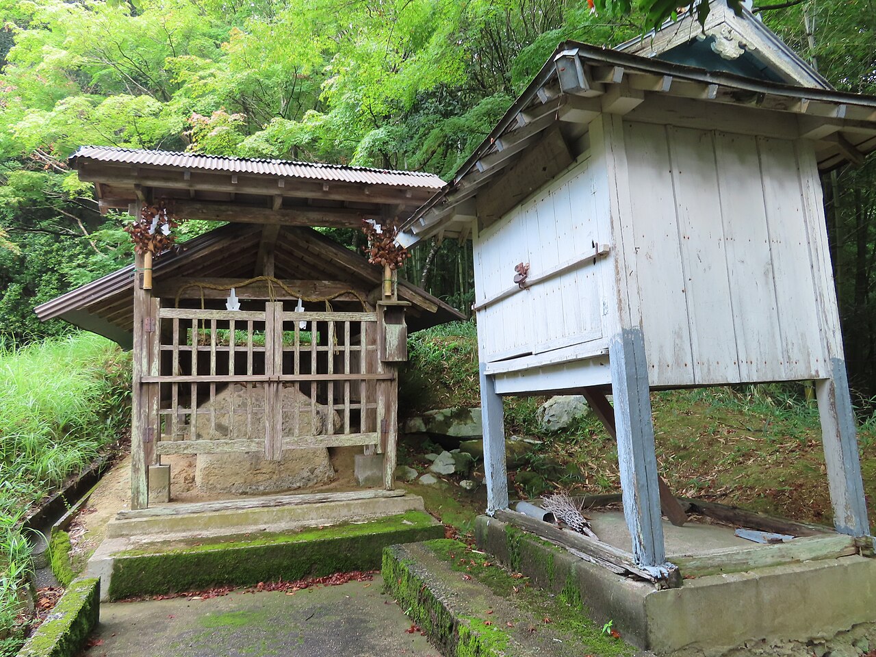 上島古墳の画像