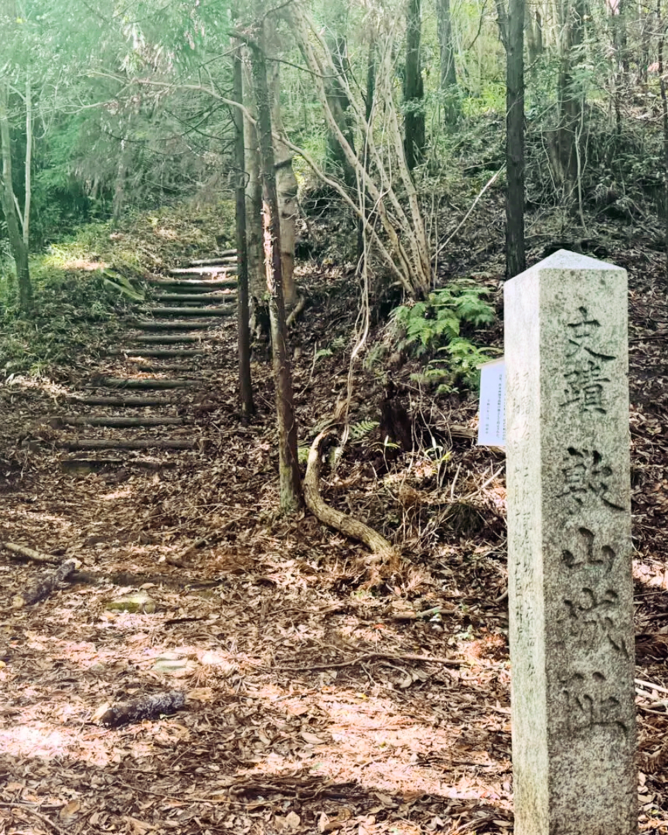敷山城跡の画像
