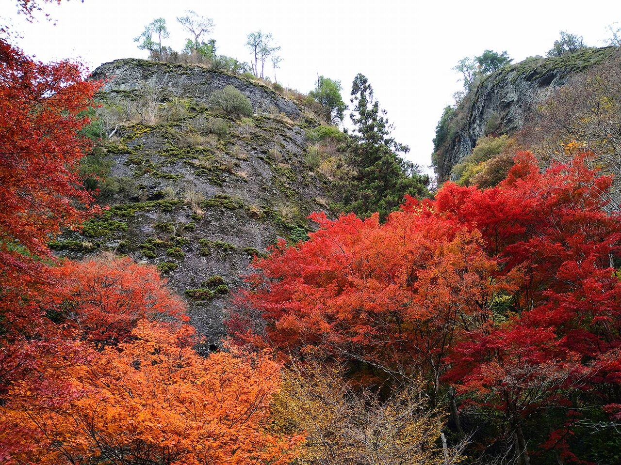 古岩屋の画像