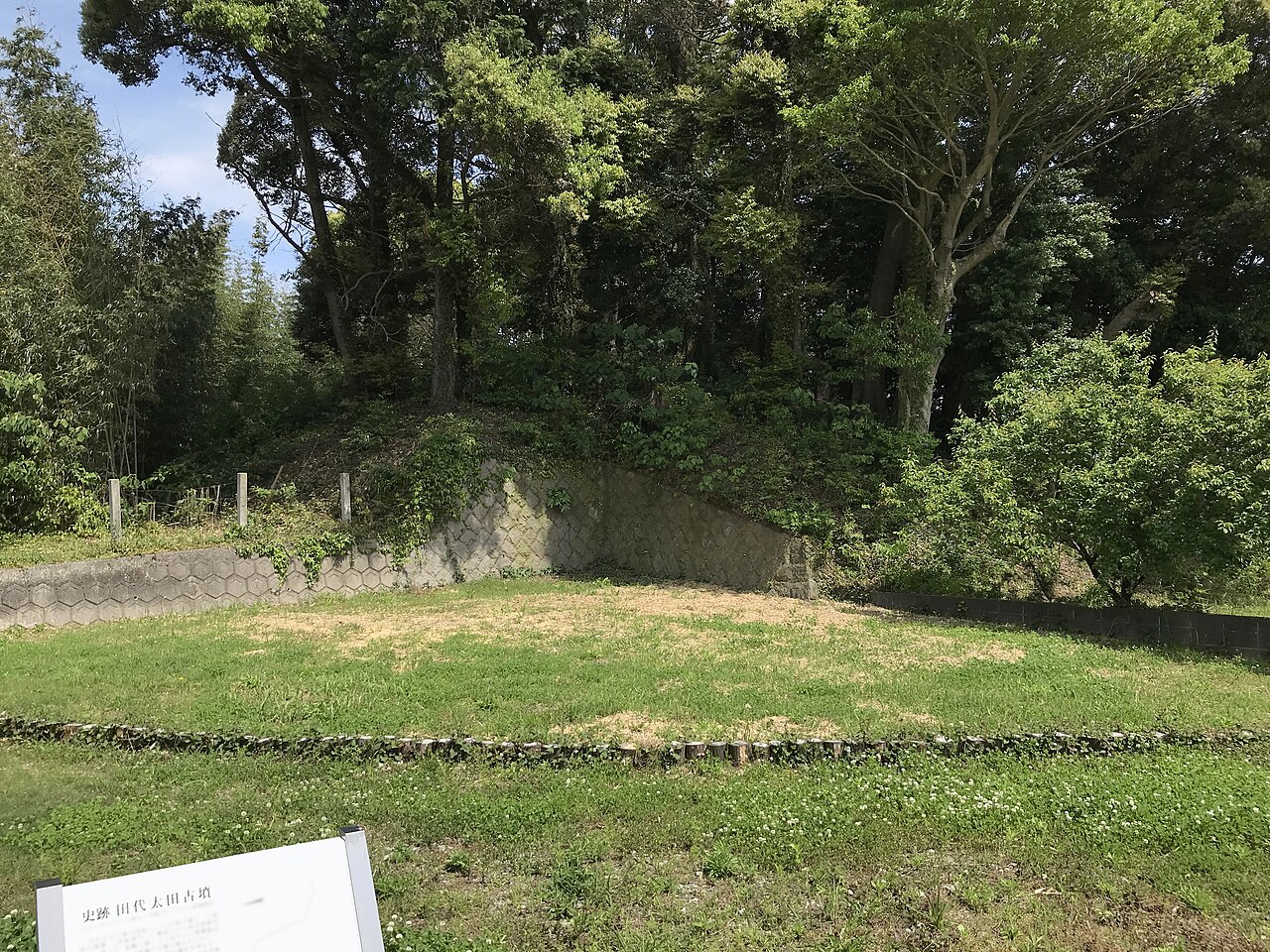 田代太田古墳の画像
