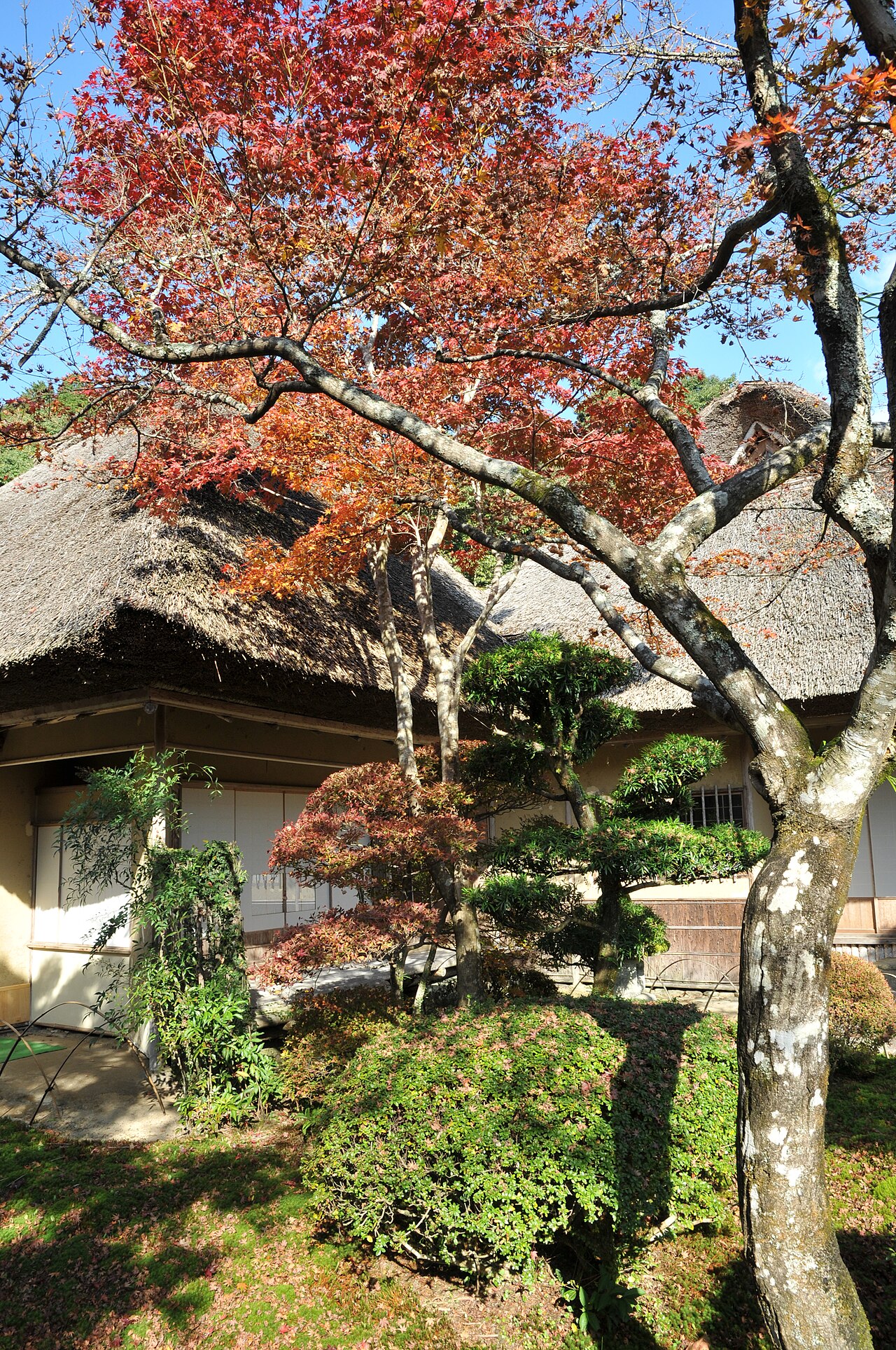 九年庵（旧伊丹氏別邸）庭園の画像