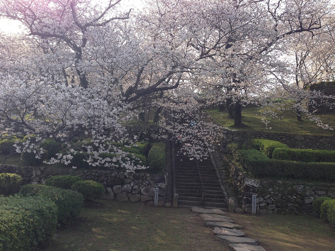 旧円融寺庭園の画像
