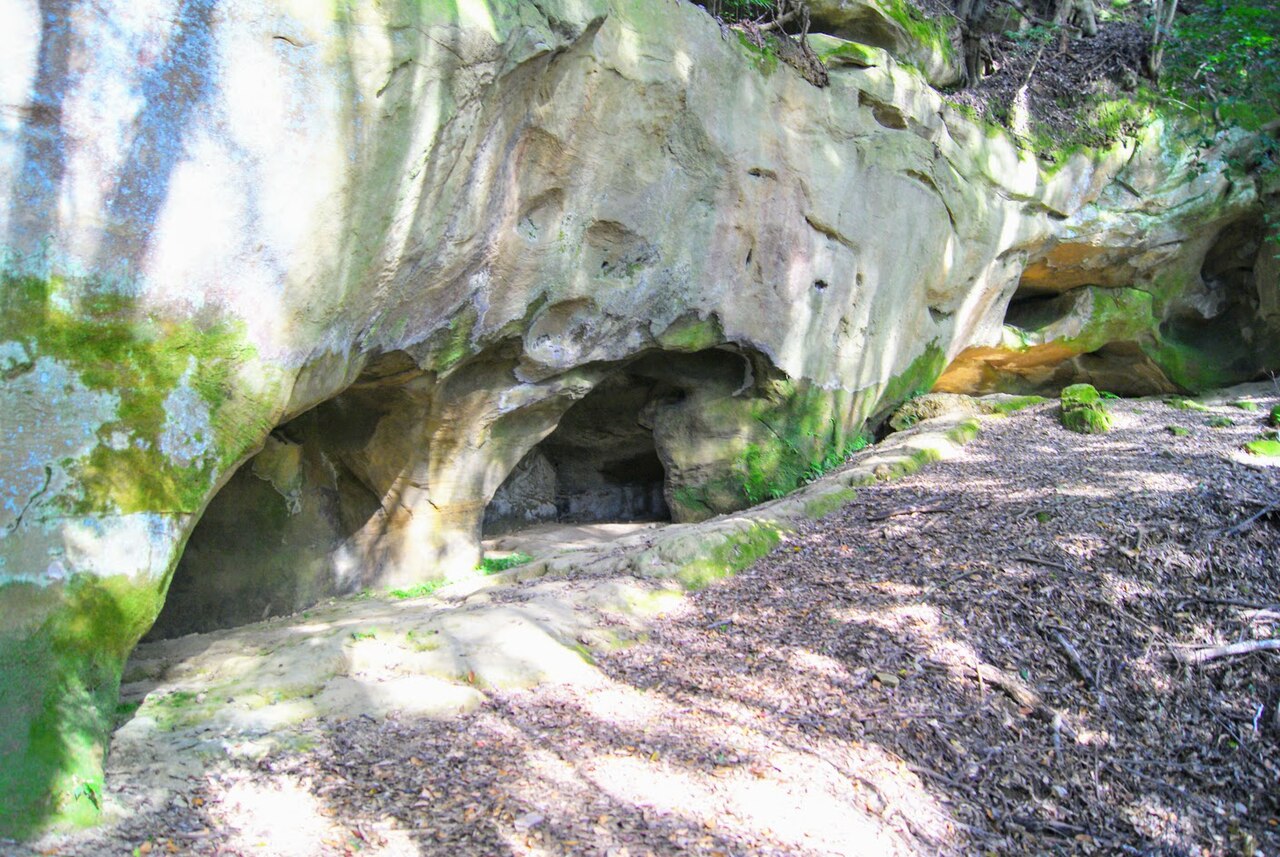 泉福寺洞窟の画像
