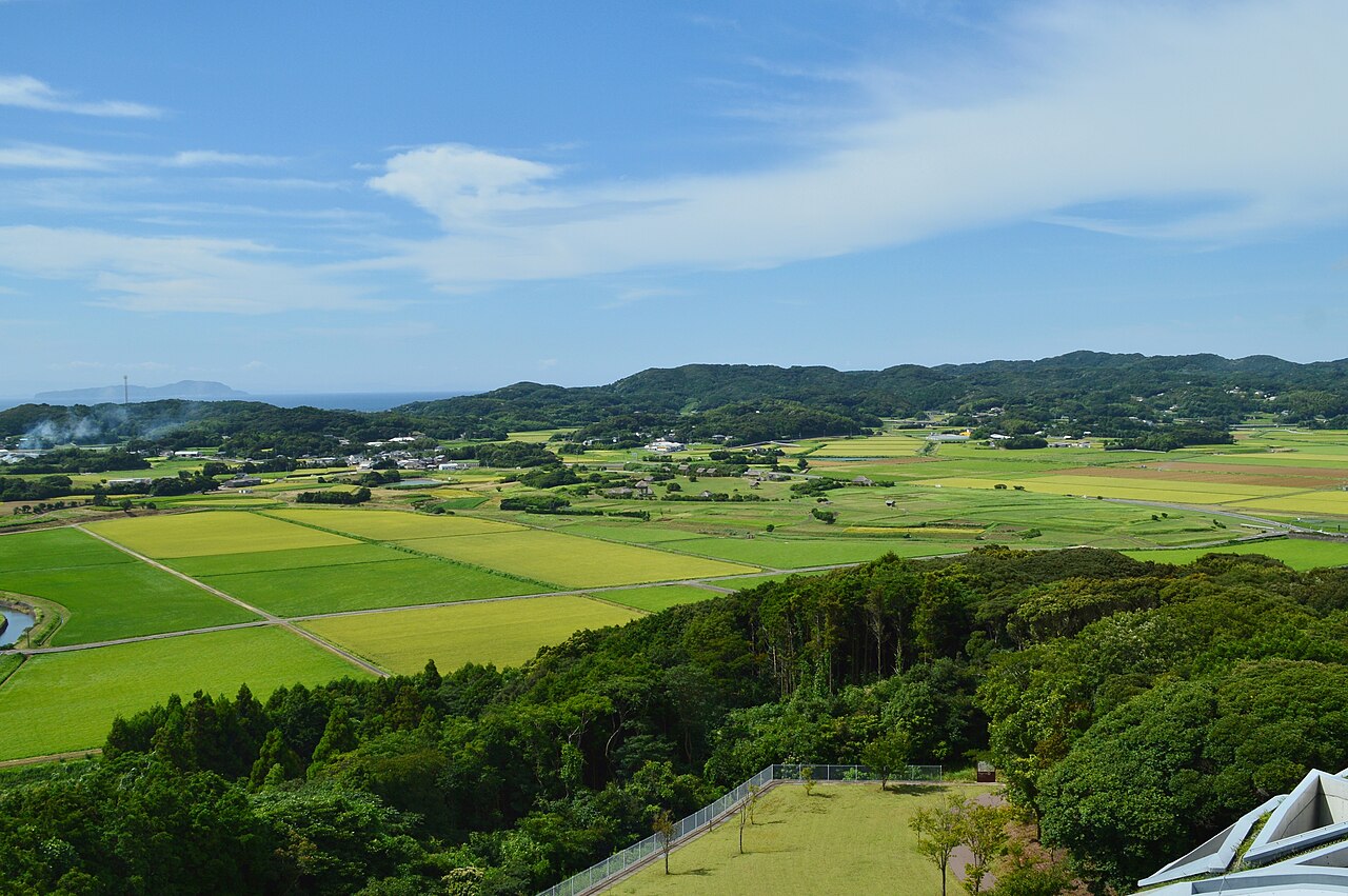 原の辻遺跡の画像