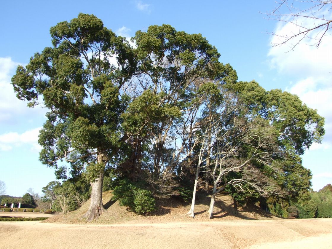 江田船山古墳
　附　塚坊主古墳・虚空蔵塚古墳の画像