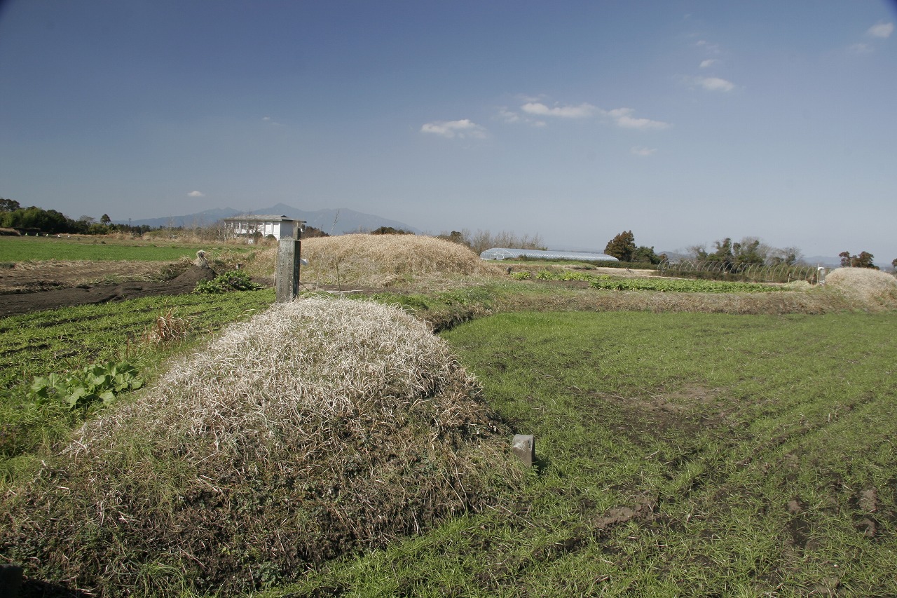 塚崎古墳群の画像