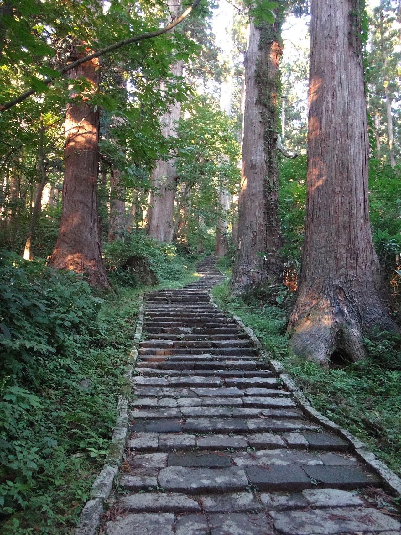 羽黒山のスギ並木の画像