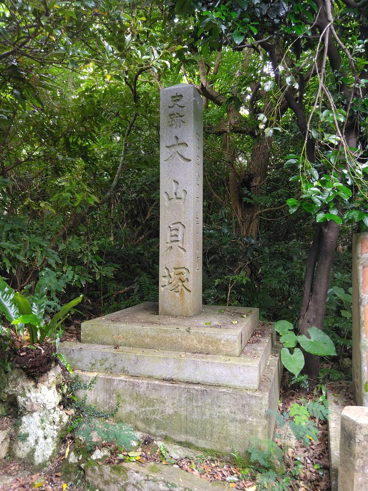大山貝塚の画像
