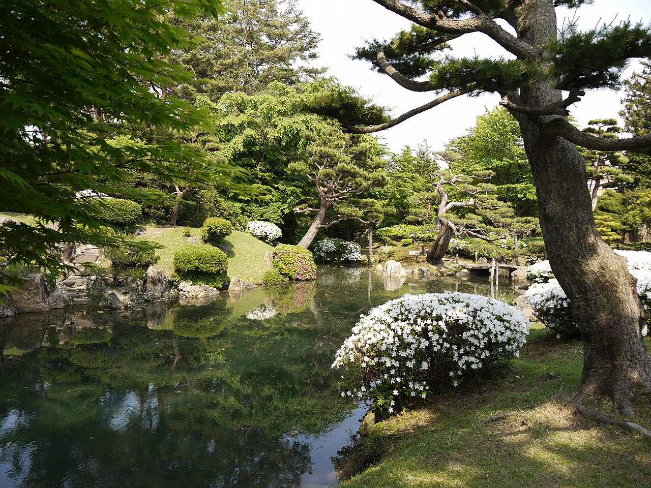 酒井氏庭園の画像