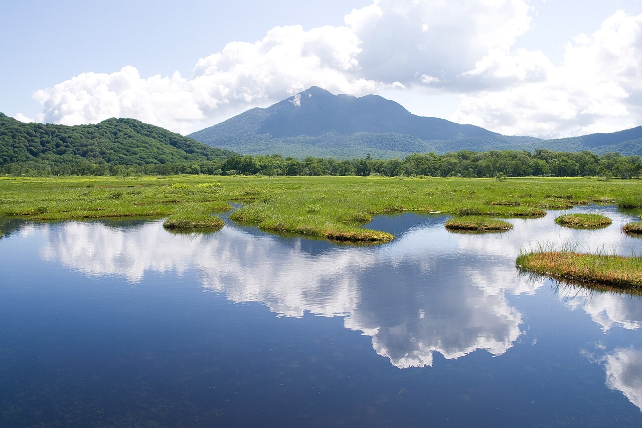尾瀬の画像