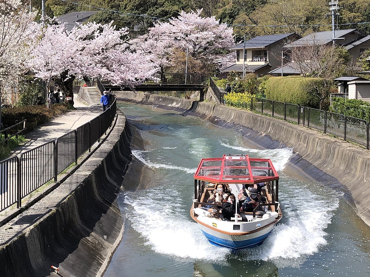 琵琶湖疏水の画像