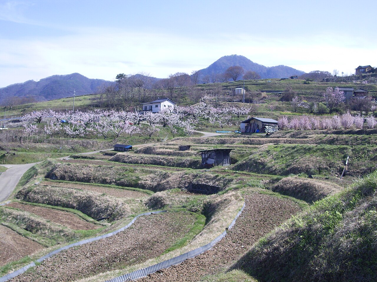 姨捨（田毎の月）の画像