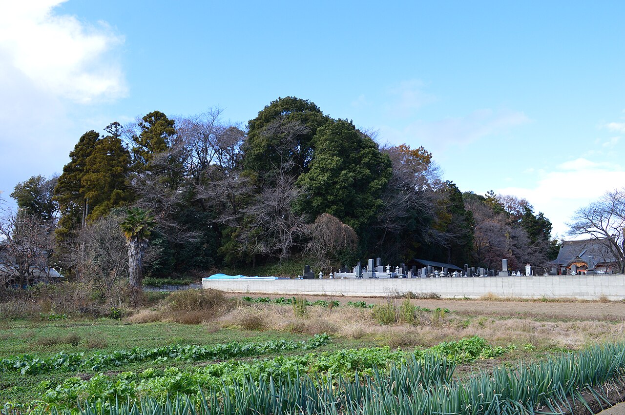 新田荘遺跡の画像