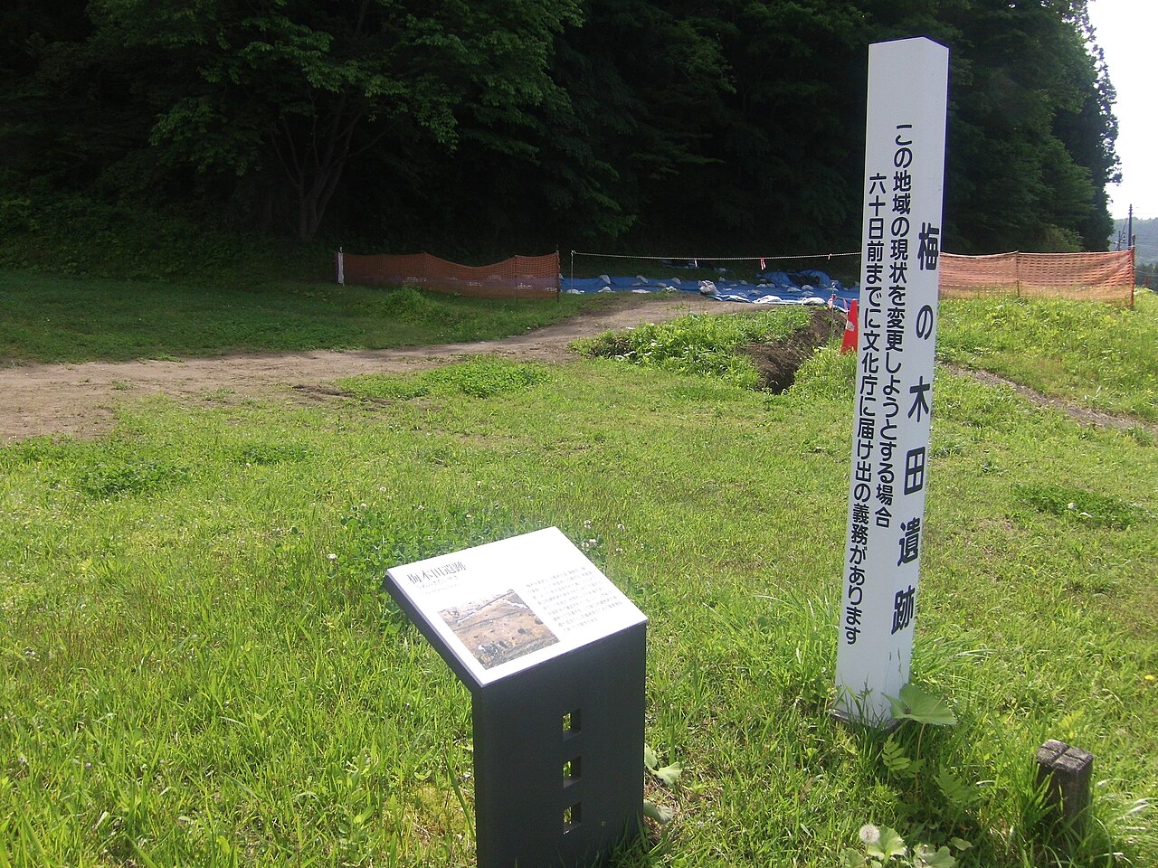 骨寺村荘園遺跡の画像