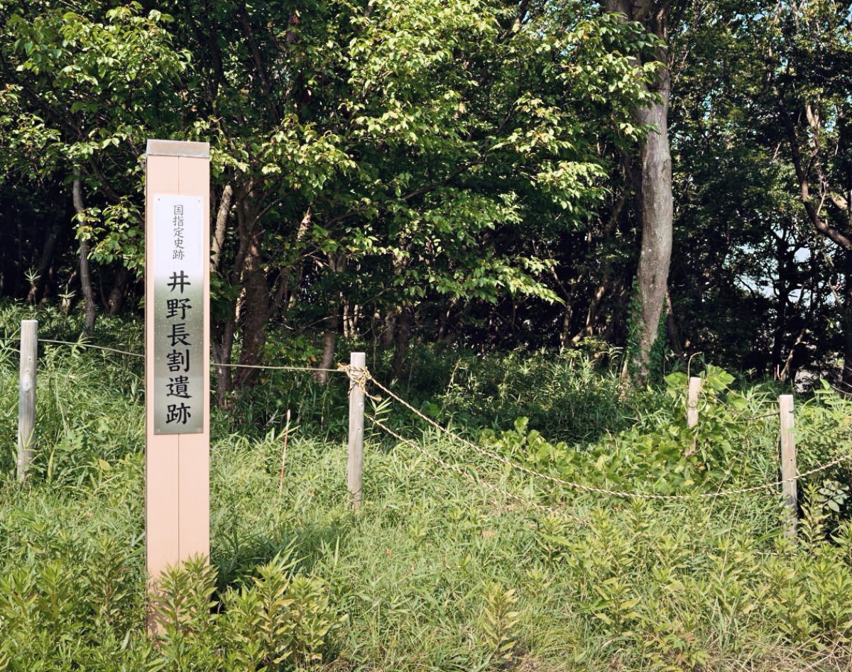 井野長割遺跡の画像