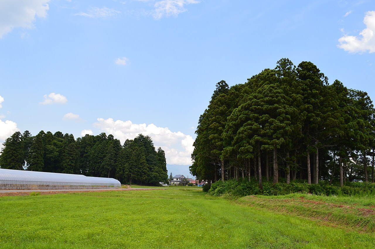 亀ヶ森・鎮守森古墳の画像