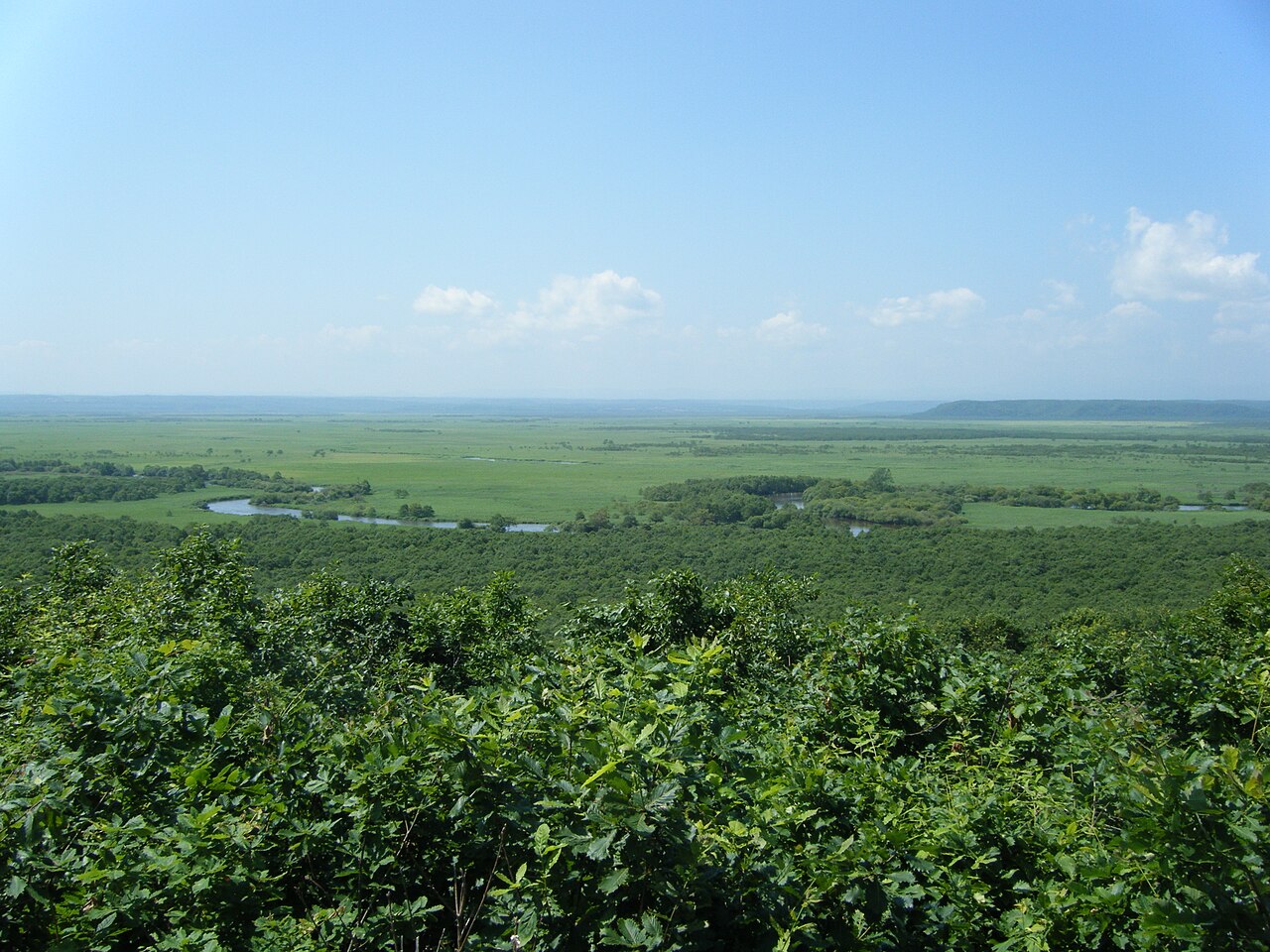 釧路湿原の画像